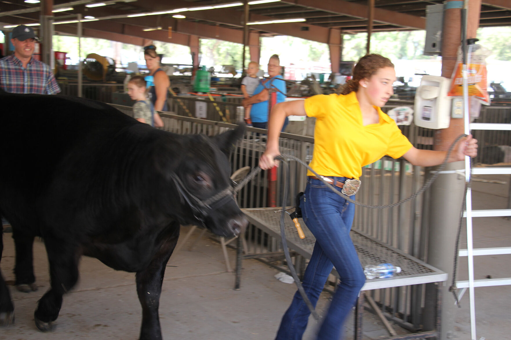 PHOTOS: More from the Scotts Bluff County Fair 2020